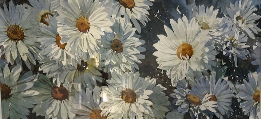Richard Bolton| Marguerite Daisies| McAtamney Gallery a Design Store | Geraldine NZ